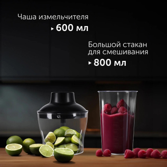 Блендер погружной Red Solution HB2901 1200Вт серебристый/черный от магазина РЭССИ