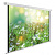 Экран Cactus 200x200см WallExpert CS-PSWE-200x200-WT 1:1 настенно-потолочный рулонный от магазина РЭССИ