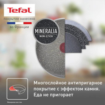 Сковорода Tefal Natural Cook 04234926 круглая 26см ручка несъемная (с крышкой) серый (9100052849) от магазина РЭССИ