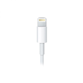 Кабель Apple A1510 MD819ZM/A USB (m)-Lightning (m) 2м белый от магазина РЭССИ