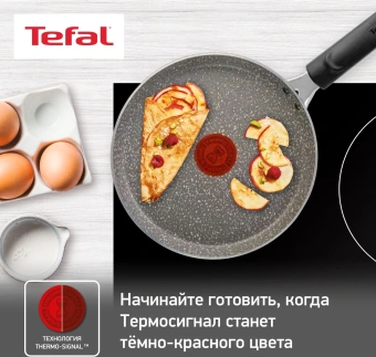 Сковорода блинная Tefal Natural Cook 4213522 круглая 22см ручка несъемная (без крышки) серый (9100053997) от магазина РЭССИ