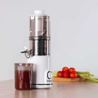Соковыжималка шнековая Scarlett SC-JE50S63 400Вт рез.сок.:600мл. белый от магазина РЭССИ