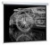 Картинка Экран Cactus 213x213см Wallscreen CS-PSW-213x213 1:1 настенно-потолочный рулонный белый от магазина РЭССИ Экран Cactus 213x213см Wallscreen CS-PSW-213x213 1:1 настенно-потолочный рулонный белый от магазина РЭССИ