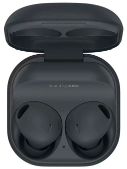 Гарнитура внутриканальные Samsung Galaxy Buds 2 Pro серый беспроводные bluetooth в ушной раковине (SM-R510NZAAXME) от магазина РЭССИ