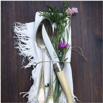 Набор ножей кухон. Opinel Table Chic №10 (001828) компл.:4шт дерево подар.коробка от магазина РЭССИ