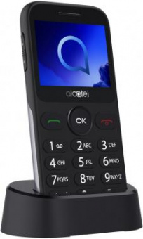 Мобильный телефон Alcatel 2019G серебристый моноблок 1Sim 2.4" 240x320 Thread-X 2Mpix GSM900/1800 GSM1900 FM microSD max32Gb от магазина РЭССИ