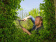 Картинка Ножницы для живой изгороди Gardena NatureCut черный/коричневый (12300-20.000.00) от магазина РЭССИ Ножницы для живой изгороди Gardena NatureCut черный/коричневый (12300-20.000.00) от магазина РЭССИ