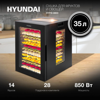 Сушка для фруктов и овощей Hyundai HYFD-8803 28под. 850Вт черный от магазина РЭССИ