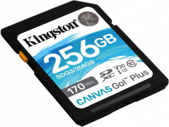 Флеш карта SDXC 256Gb Class10 Kingston SDG3/256GB Canvas Go! Plus w/o adapter от магазина РЭССИ