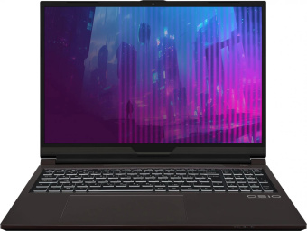 Ноутбук Osio CyberLine C160i-002 Core i5 12600H 16Gb SSD512Gb NVIDIA GeForce RTX4050 6Gb 16" IPS WUXGA (1920x1200) noOS brown WiFi BT Cam 3410mAh от магазина РЭССИ