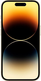 Смартфон Apple A2889 iPhone 14 Pro 1Tb 6Gb золотой моноблок 3G 4G 1Sim 6.1" 1179x2556 iOS 16 48Mpix 802.11 a/b/g/n/ac/ax NFC GPS GSM900/1800 GSM1900 TouchSc Protect от магазина РЭССИ