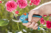 Секатор плоскостной Gardena B/S-M черный/синий (08853-30.000.00) от магазина РЭССИ
