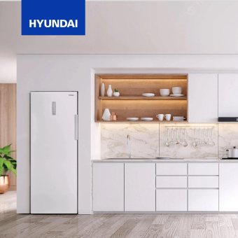 Морозильная камера Hyundai CU2505F белый от магазина РЭССИ