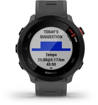 Смарт-часы Garmin Forerunner 55 42мм 1.04" LCD корп.серый рем.серый разм.брасл.:127-220мм (010-02562-13) от магазина РЭССИ