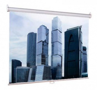 Экран Lumien 180x180см Eco Picture LEP-100102 1:1 настенно-потолочный рулонный от магазина РЭССИ