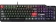 Клавиатура MSI VIGOR GK41 DUSK LR RU механическая черный/серый USB Multimedia for gamer LED (S11-04RUB01-CLA) от магазина РЭССИ