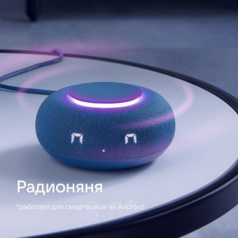 Умная колонка VK Капсула Мини Маруся синий морской 5W 1.0 BT 10м (MRC02BL) от магазина РЭССИ