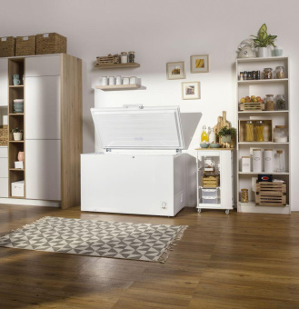 Морозильный ларь Gorenje FH451CW белый 150Вт от магазина РЭССИ
