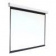Экран 213x213см Digis Electra-F DSEF-1107 1:1 настенно-потолочный рулонный (моторизованный привод) от магазина РЭССИ