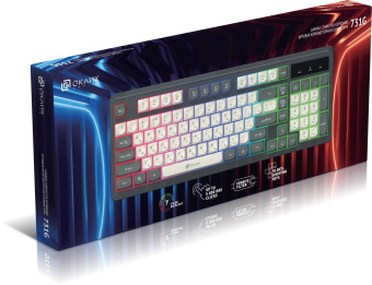 Клавиатура Оклик 731G серый/белый USB for gamer LED от магазина РЭССИ