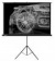 Экран Cactus 124.5x221см Triscreen CS-PST-124x221 16:9 напольный рулонный черный от магазина РЭССИ