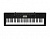 Синтезатор Casio CTK-3500 61клав. черный от магазина РЭССИ
