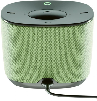 Умная колонка Sber Boom Home SBDV-00171V Салют св.зеленый 8W Mono BT/Wi-Fi от магазина РЭССИ