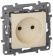 Картинка Розетка силов. Legrand Etika 672320 одинар. скрыт. IP21 слоновая кость от магазина РЭССИ Розетка силов. Legrand Etika 672320 одинар. скрыт. IP21 слоновая кость от магазина РЭССИ