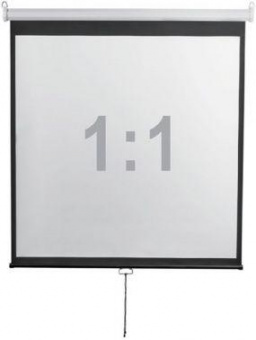 Экран 240x240см Digis Optimal-D DSOD-1107 1:1 настенно-потолочный рулонный от магазина РЭССИ