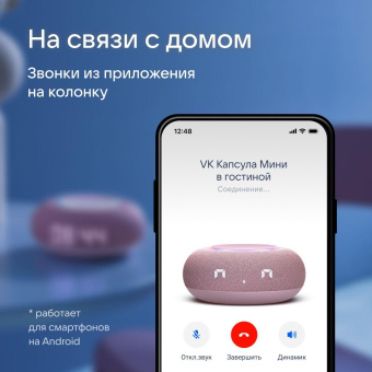 Умная колонка VK Капсула Мини Маруся розовый 5W 1.0 BT 12м (MRC02PI) от магазина РЭССИ