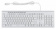 Картинка Клавиатура Оклик 490ML белый USB slim Multimedia LED от магазина РЭССИ Клавиатура Оклик 490ML белый USB slim Multimedia LED от магазина РЭССИ
