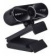 Камера Web A4Tech PK-940HA черный 2Mpix (1920x1080) USB2.0 с микрофоном от магазина РЭССИ