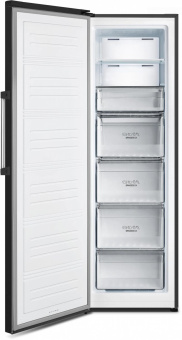 Морозильная камера Gorenje FN619FPB черный от магазина РЭССИ