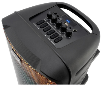 Минисистема SunWind SW-MS30 черный 60Вт FM USB BT SD/MMC от магазина РЭССИ