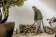 Картинка Строительный пылесос Karcher KWD 3 S V-15/4/20 LE 1000Вт (уборка: сухая/сбор воды) желтый от магазина РЭССИ Строительный пылесос Karcher KWD 3 S V-15/4/20 LE 1000Вт (уборка: сухая/сбор воды) желтый от магазина РЭССИ