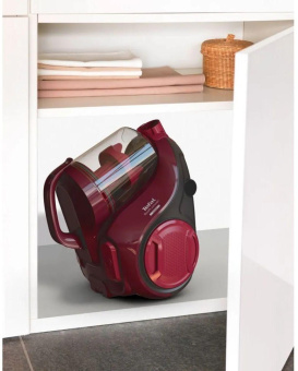 Пылесос Tefal TW2943EA 750Вт красная медь/черный от магазина РЭССИ