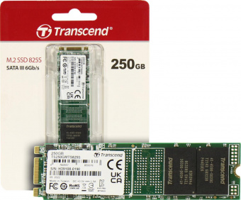 Накопитель SSD Transcend SATA III 250Gb TS250GMTS825S 825S M.2 2280 0.3 DWPD от магазина РЭССИ