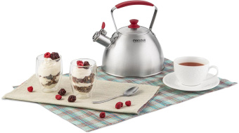 Чайник металлический Rondell Savvy RDS-1826 2.5л. стальной от магазина РЭССИ