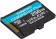Флеш карта microSDXC 256Gb Class10 Kingston SDCG3/256GBSP Canvas Go! Plus w/o adapter от магазина РЭССИ