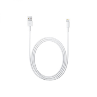 Кабель Apple A1510 MD819ZM/A USB (m)-Lightning (m) 2м белый от магазина РЭССИ