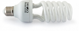 Комплект освещения Rekam CL4-615-SB-FL4-FL1S от магазина РЭССИ