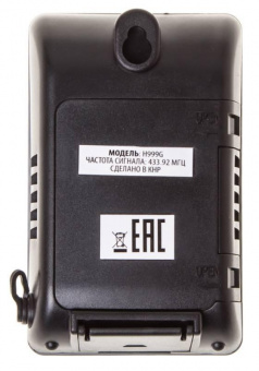 Термометр Buro H999E/G/T серебристый/черный от магазина РЭССИ