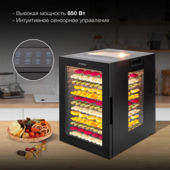 Сушка для фруктов и овощей Hyundai HYFD-8803 28под. 850Вт черный от магазина РЭССИ