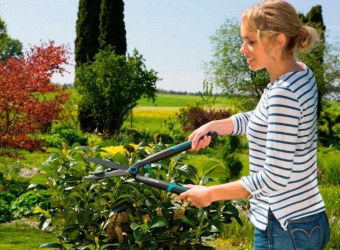 Ножницы для живой изгороди Gardena EasyCut черный/синий (12301-20.000.00) от магазина РЭССИ
