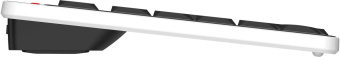 Клавиатура A4Tech Fstyler FBX70C черный USB беспроводная BT/Radio slim Multimedia (FBX70C) от магазина РЭССИ