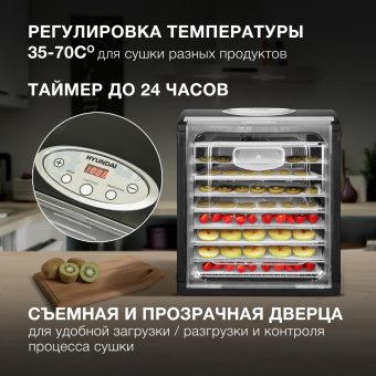 Сушка для фруктов и овощей Hyundai HYFD-1802 27под. 700Вт черный от магазина РЭССИ