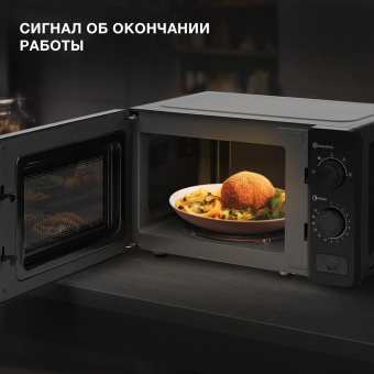 Микроволновая Печь Hyundai HYM-M2010 20л. 700Вт черный от магазина РЭССИ