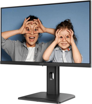 Монитор MSI 24.5" Pro MP253P черный IPS LED 16:9 HDMI M/M HAS Piv 300cd 178гр/178гр 1920x1080 100Hz VGA DP FHD 2.7кг от магазина РЭССИ