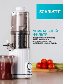 Соковыжималка шнековая Scarlett SC-JE50S63 400Вт рез.сок.:600мл. белый от магазина РЭССИ