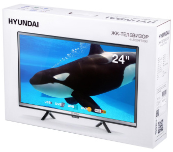Телевизор LED Hyundai 24" H-LED24FT2001 черный HD 60Hz DVB-T DVB-T2 DVB-C DVB-S DVB-S2 USB (RUS) от магазина РЭССИ